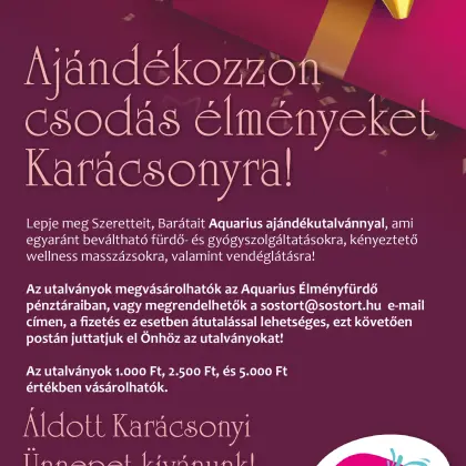 Give the gift of wonderful experiences this Christmas!