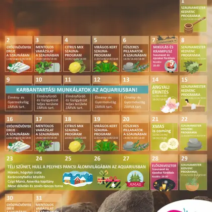 December gifts at Aquarius