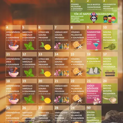 Holiday in November at Aquarius!