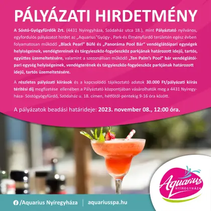 CALL FOR APPLICATIONS 2023